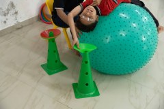 PHS8932